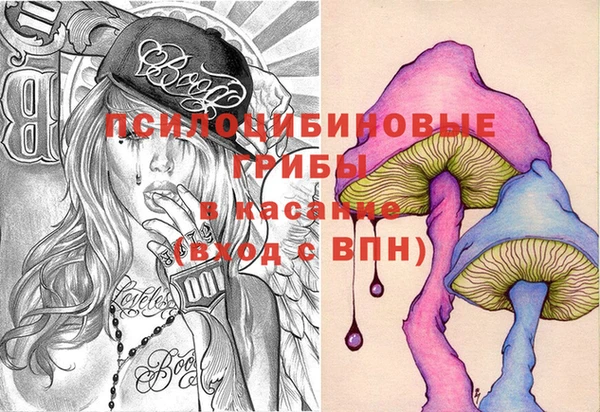 молекула духа Алзамай