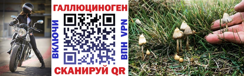 Псилоцибиновые грибы мицелий  наркошоп  Нижнеудинск 