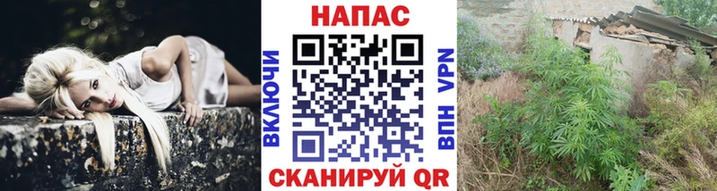 Бошки марихуана конопля Нижнеудинск